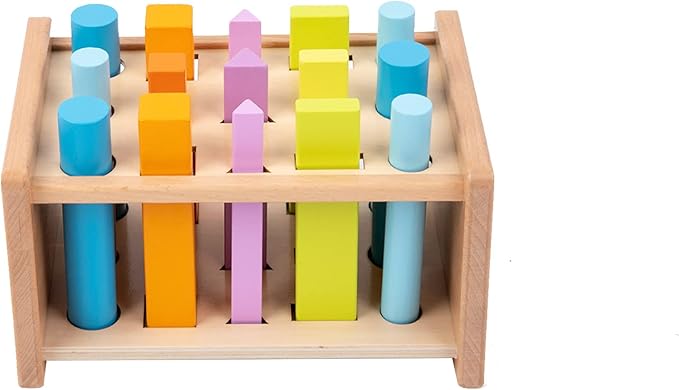 Montessori Toys for 1 2 3 Years Old Wooden 3D Shape Matching Toys,Wooden Posting Stand Montessori Color Sorting Sticks Game-Cognitive Shapes Colors,Educational Sensory Toy for Boys Girls Gift(15 Pcs)
