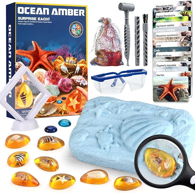 Ocean Dig Kit - 8 Specimens Excavation Kit, Gemstone for Kids, Fossil Ocean Toys Dig Kits for Amber Collection, Ocean Toys for Boys Girls and up Year Old Birthday Gifts