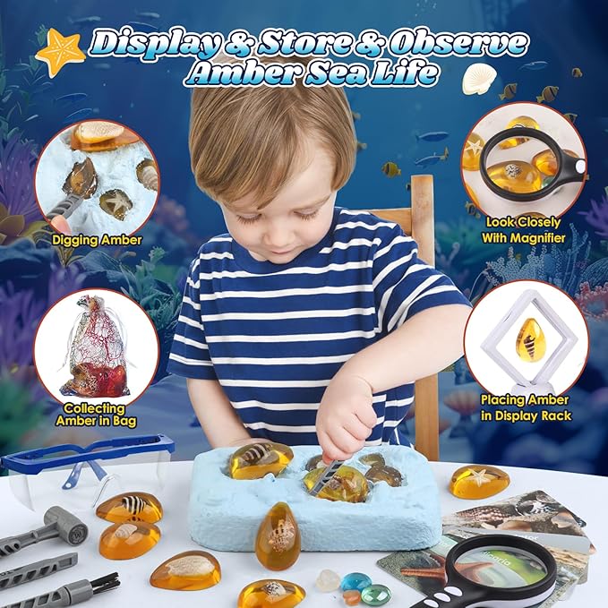 Ocean Dig Kit - 8 Specimens Excavation Kit, Gemstone for Kids, Fossil Ocean Toys Dig Kits for Amber Collection, Ocean Toys for Boys Girls and up Year Old Birthday Gifts