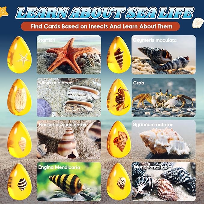 Ocean Dig Kit - 8 Specimens Excavation Kit, Gemstone for Kids, Fossil Ocean Toys Dig Kits for Amber Collection, Ocean Toys for Boys Girls and up Year Old Birthday Gifts