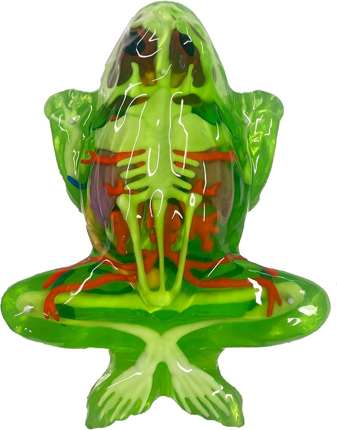 Dissect-It Kit for Kids 6 Plus, Simulated Synthetic Lab Dissection Toy | Frog Super Lab | Authenticated STEM Toys | Kids Learn Animal Science, Biology, and Anatomy