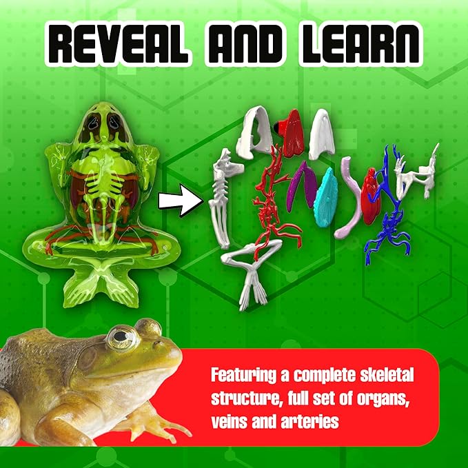 Dissect-It Kit for Kids Plus Upgraded Frog Dissection Toy Kit, Realistic Lab Experience, No Use of Real Frog! No Odor, STEM Toys, Animal Science & Anatomy Home Learning for Kids, Boys, Girls