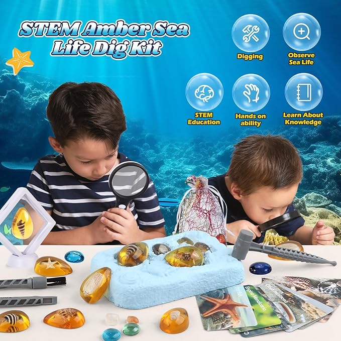 Ocean Dig Kit - 8 Specimens Excavation Kit, Gemstone for Kids, Fossil Ocean Toys Dig Kits for Amber Collection, Ocean Toys for Boys Girls and up Year Old Birthday Gifts